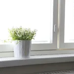 Orchidea * Helsínquia
