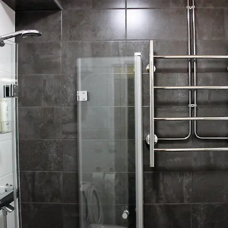 奥尔基代亚一室公寓 *