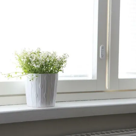 奥尔基代亚一室公寓 * 赫尔辛基