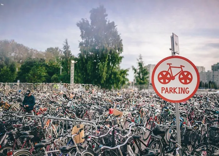 Orchidea Apartment *